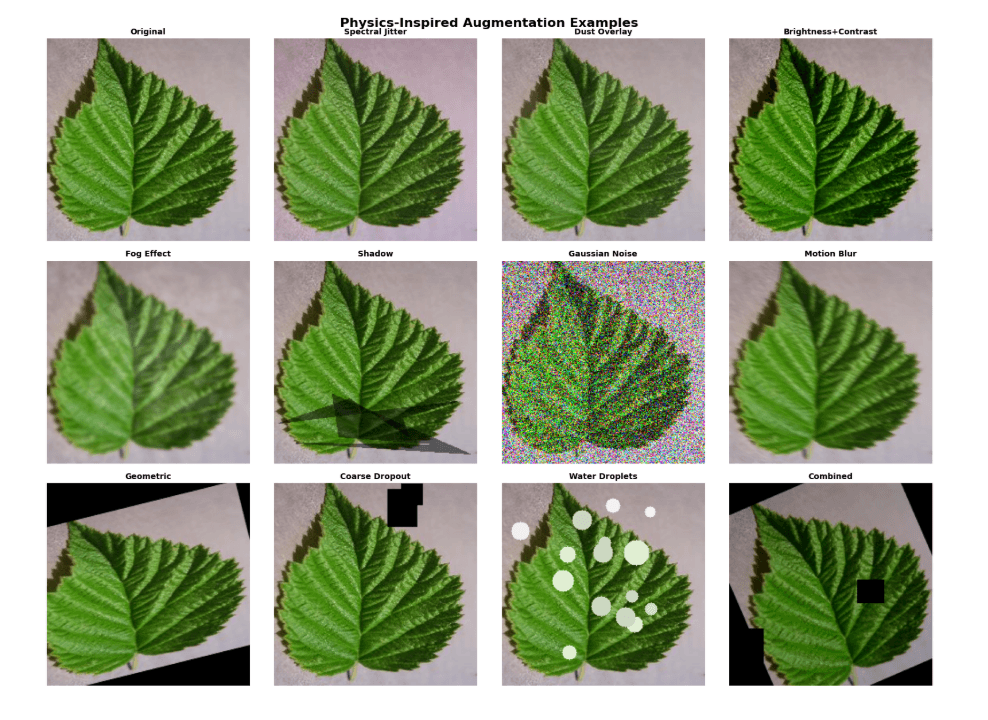 Hybrid ViT Model for Crop Diagnosis screenshot 1